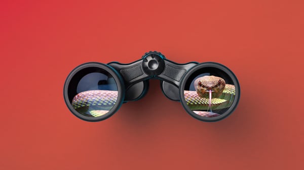 Reputation at Risk: The Case for Ethical Vendor Oversight